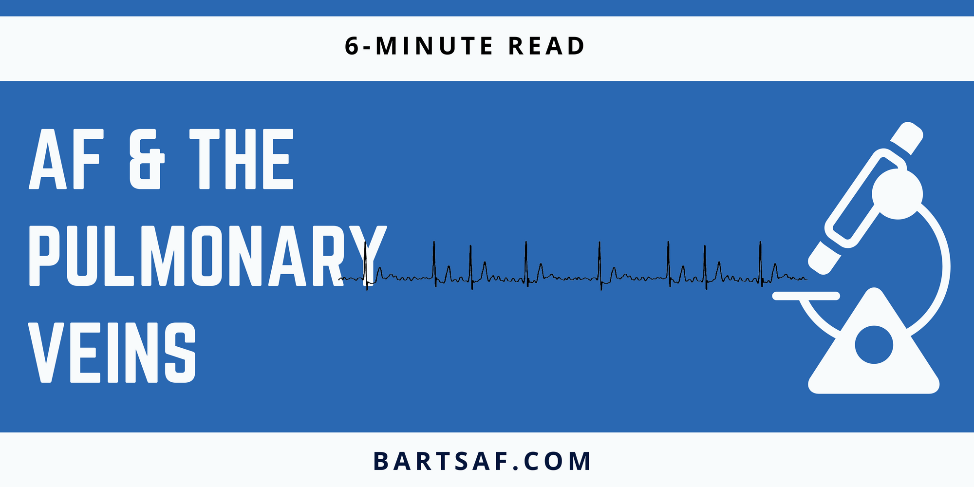 AF and the pulmonary veins